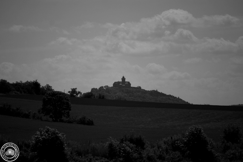 Feld2